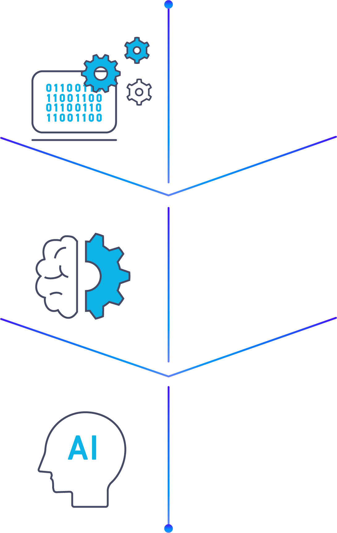 7日間プログラム概要画像
